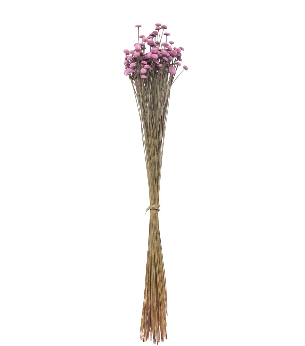 21 Lavender Dried Bouquet by Bloom Room