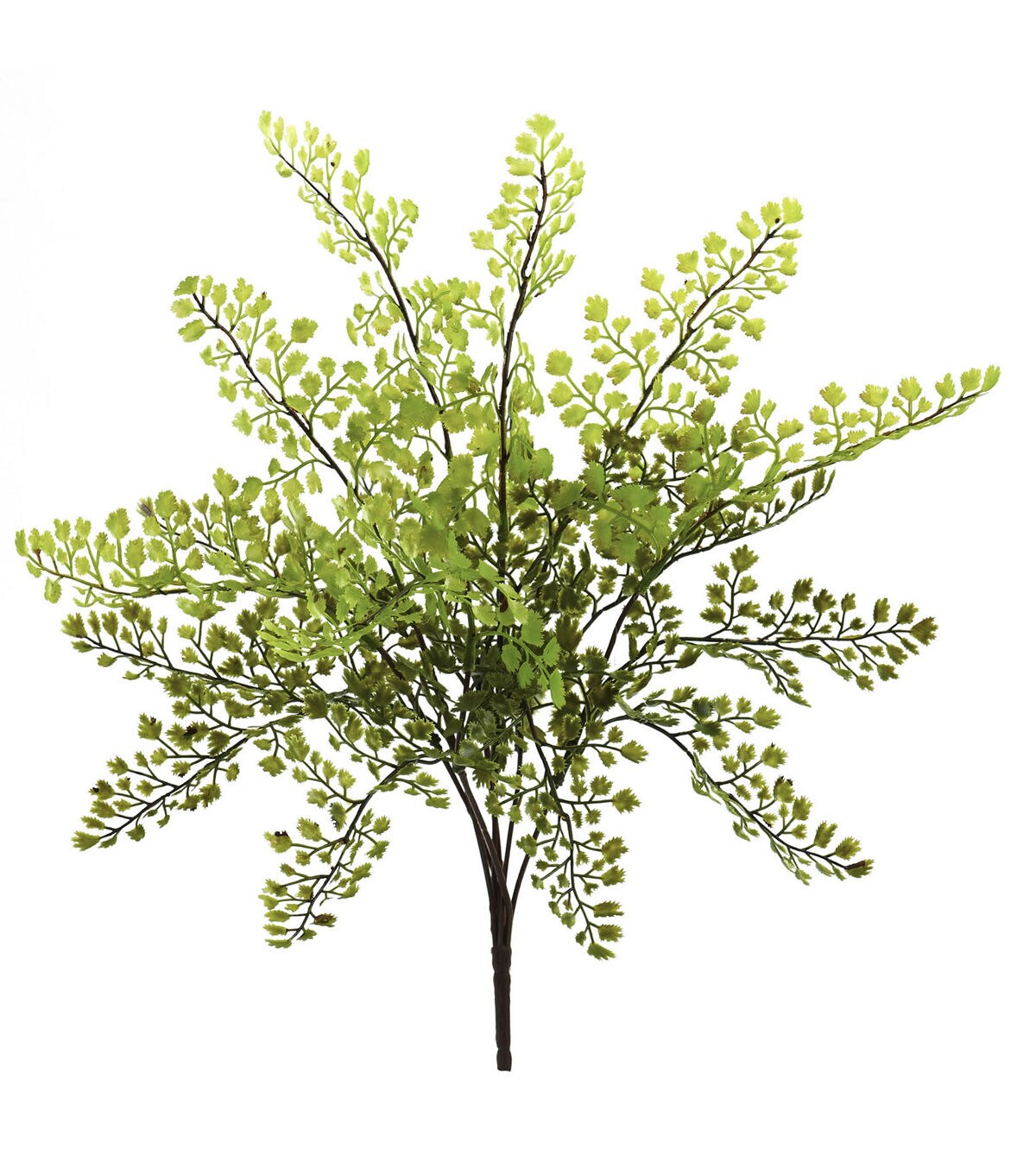 Nearly Natural 15 Artificial Maiden Hair Plants 12ct