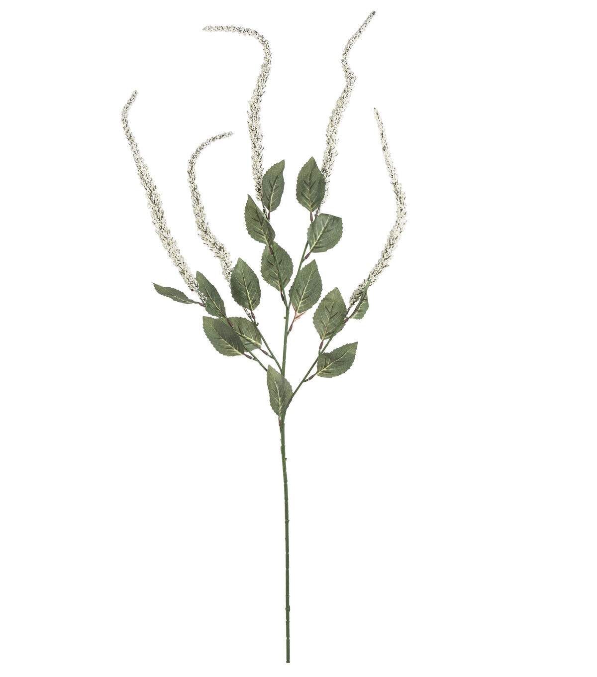30 Cream Amaranthus Stem by Bloom Room