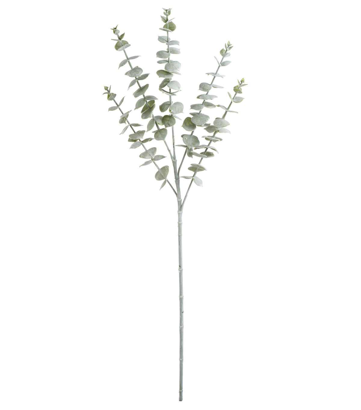 29 Green Eucalyptus Stem by Bloom Room