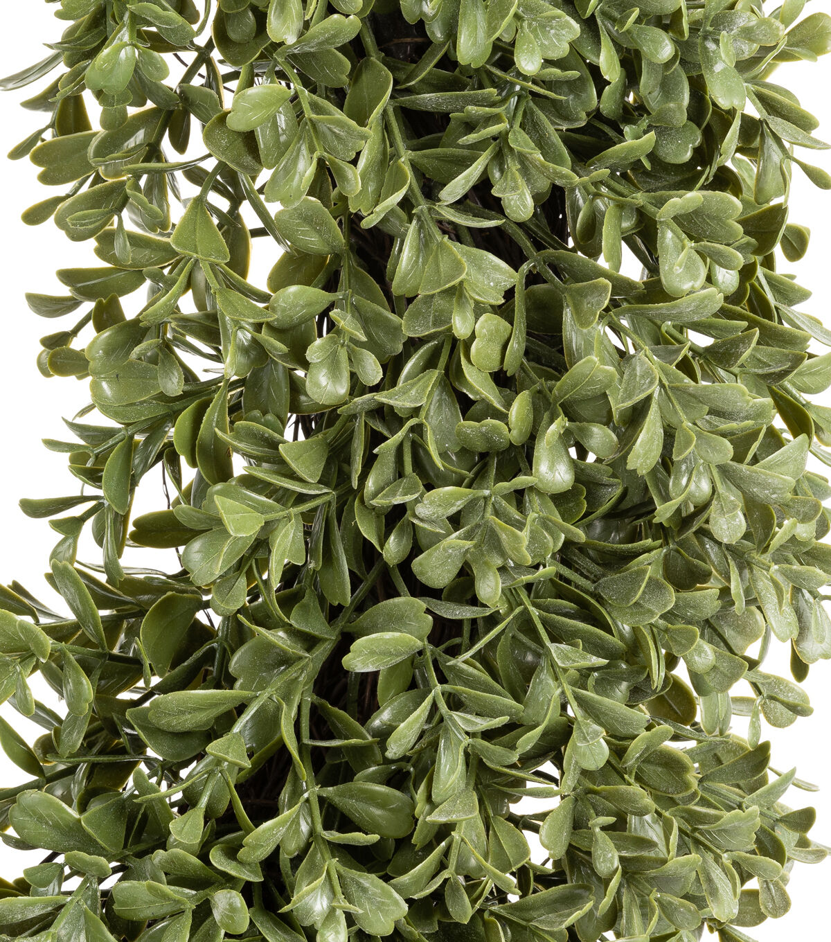 24 Boxwood Wreath by Bloom Room