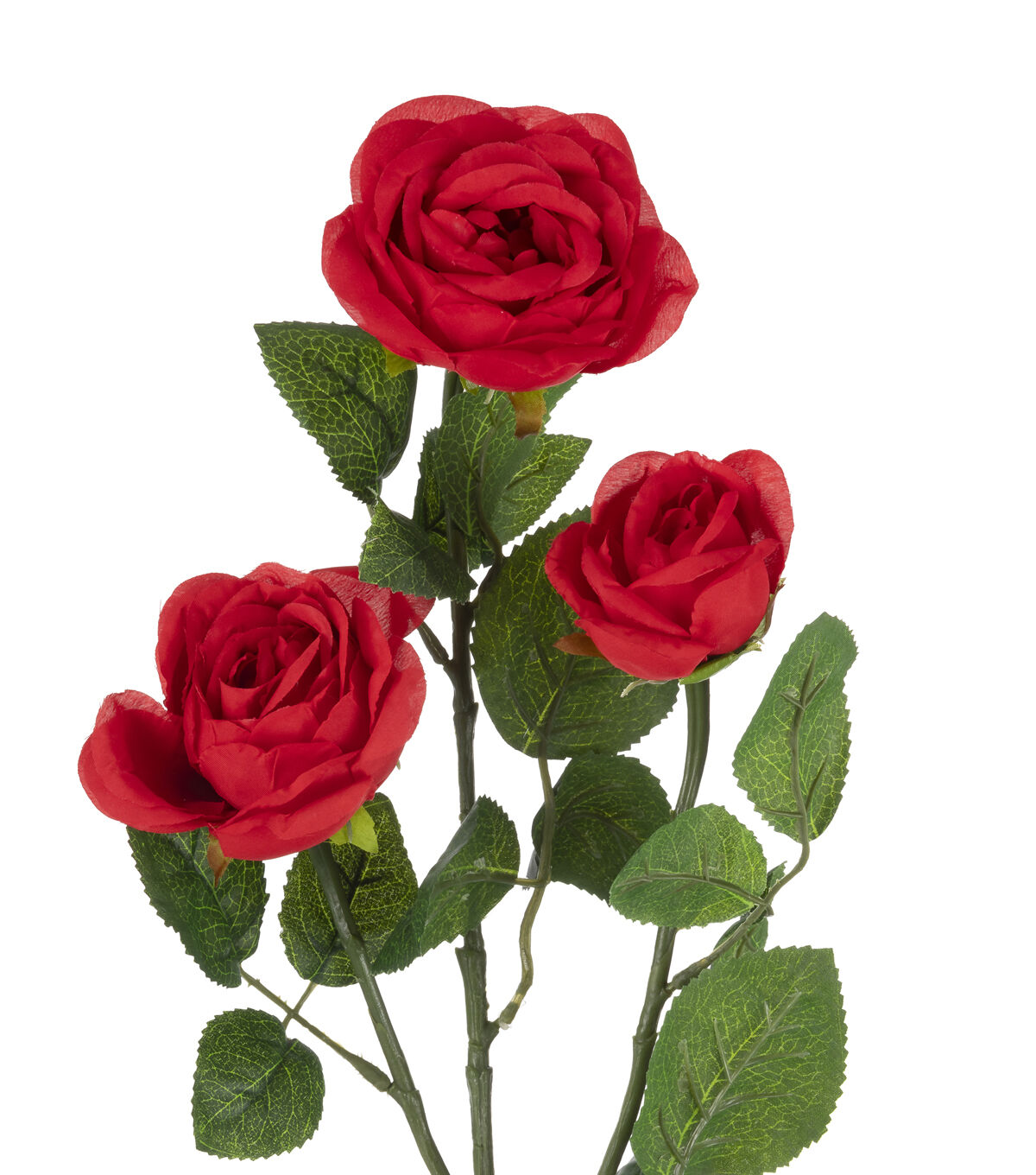 31 Red Cabbage Rose Stem by Bloom Room