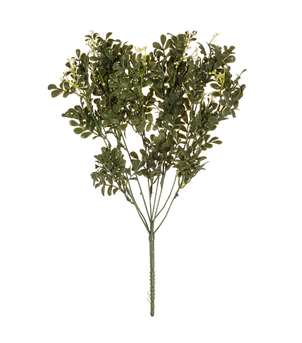 18.5 Boxwood With Berries Bush by Bloom Room