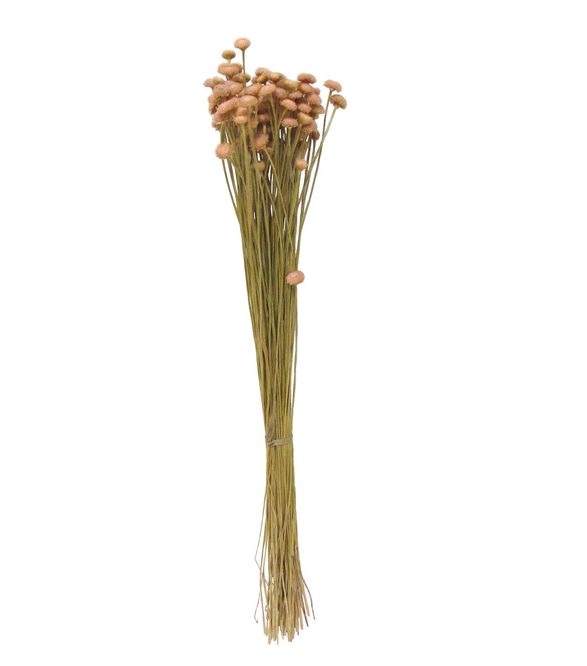 23 Mauve Dried Botao Bouquet by Bloom Room