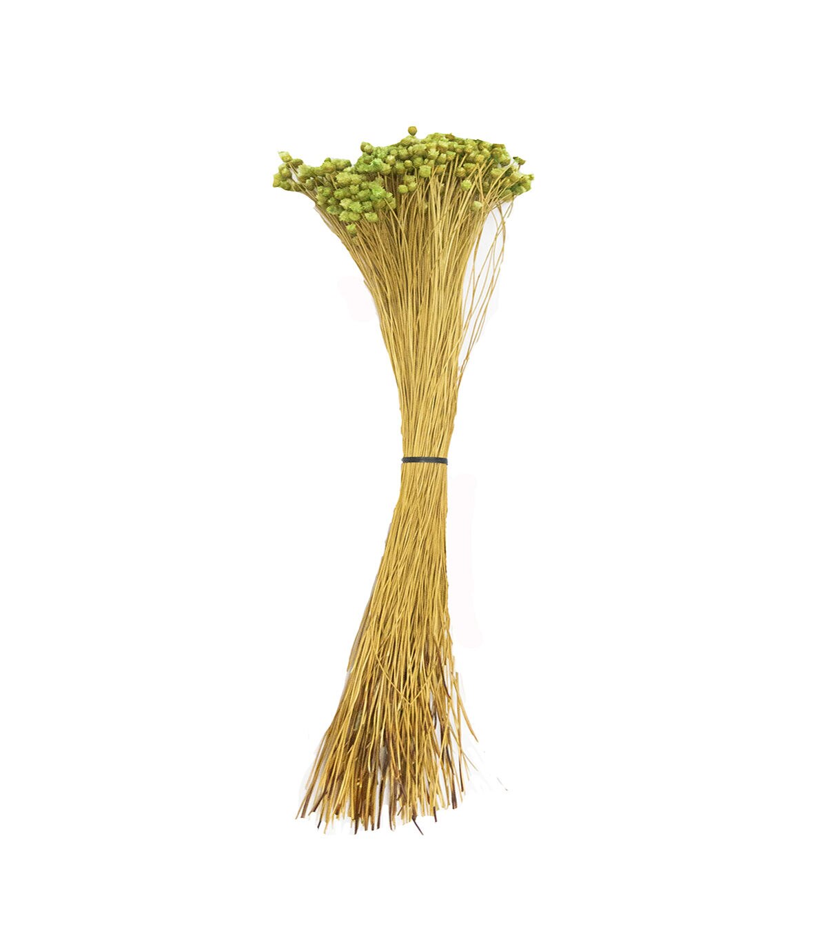 Quality Growers 20 Dried Green Happy Flower Bouquet