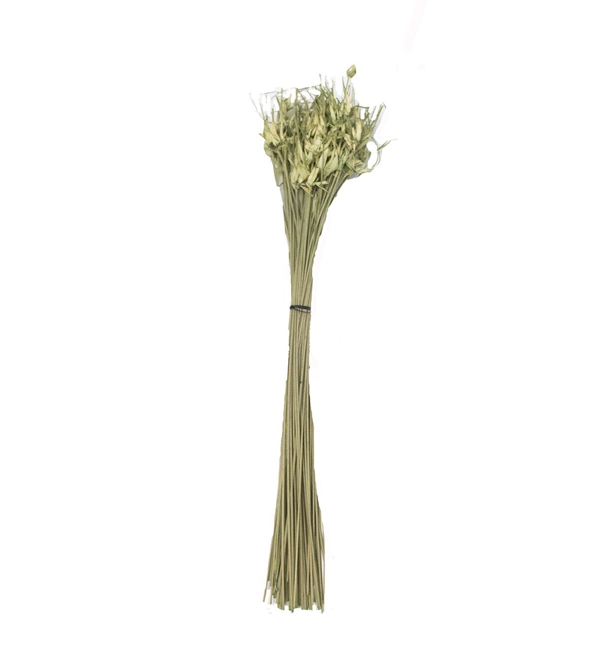 Quality Growers 25 Dried Artichoke Green Tulip Star Bouquet