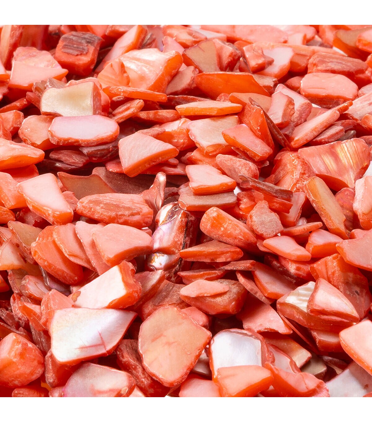 1lb Coral Crushed Shells by Bloom room