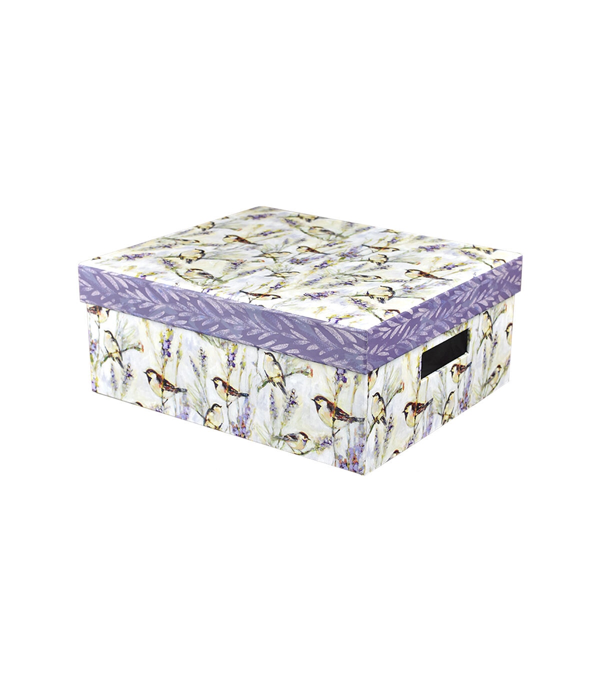 13 Meadowbrook Rectangle Box With Cutout Handles by Place & Time