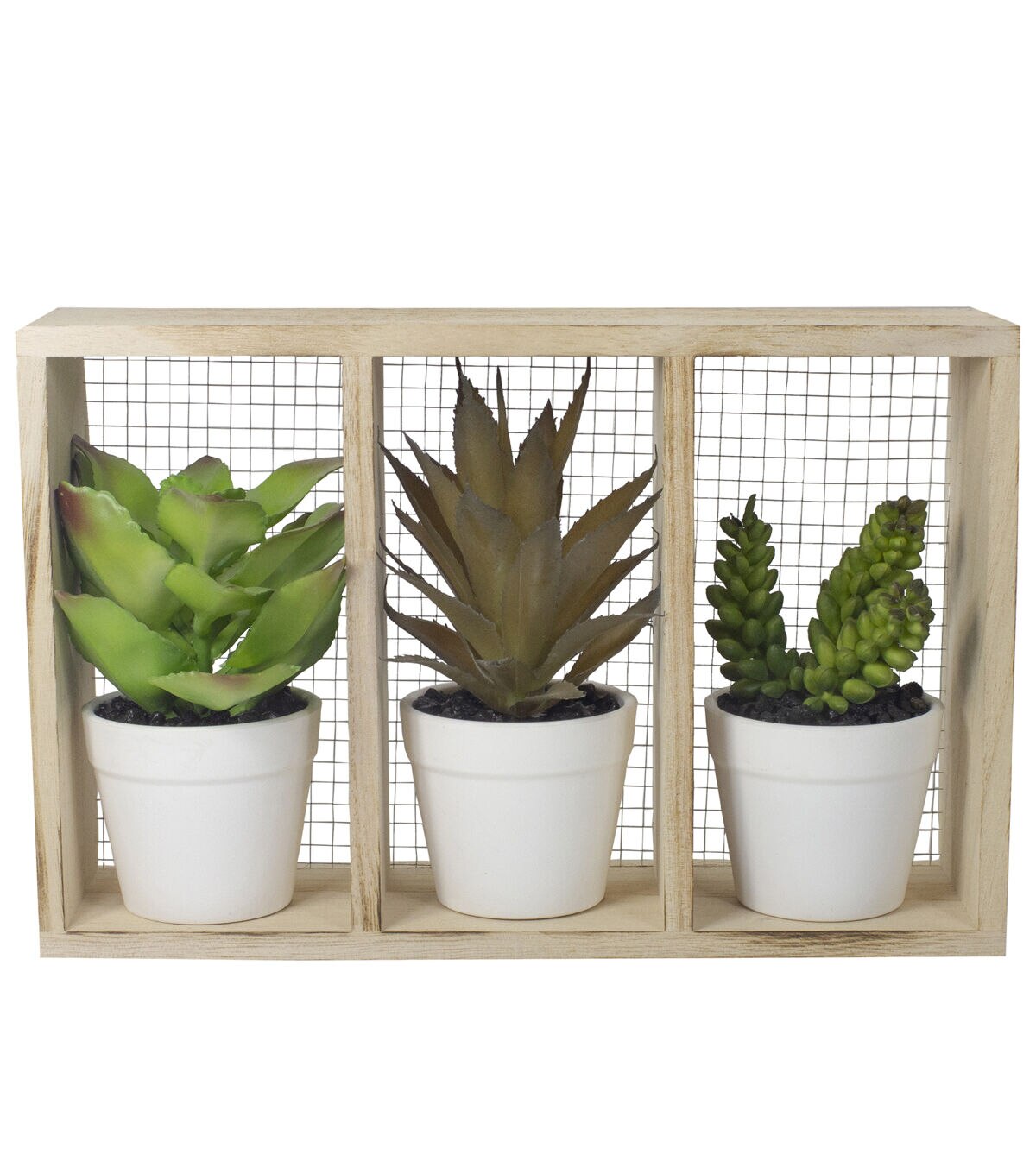 Northlight 10.75 Artificial Mixed Potted Succulents in Wooden Box
