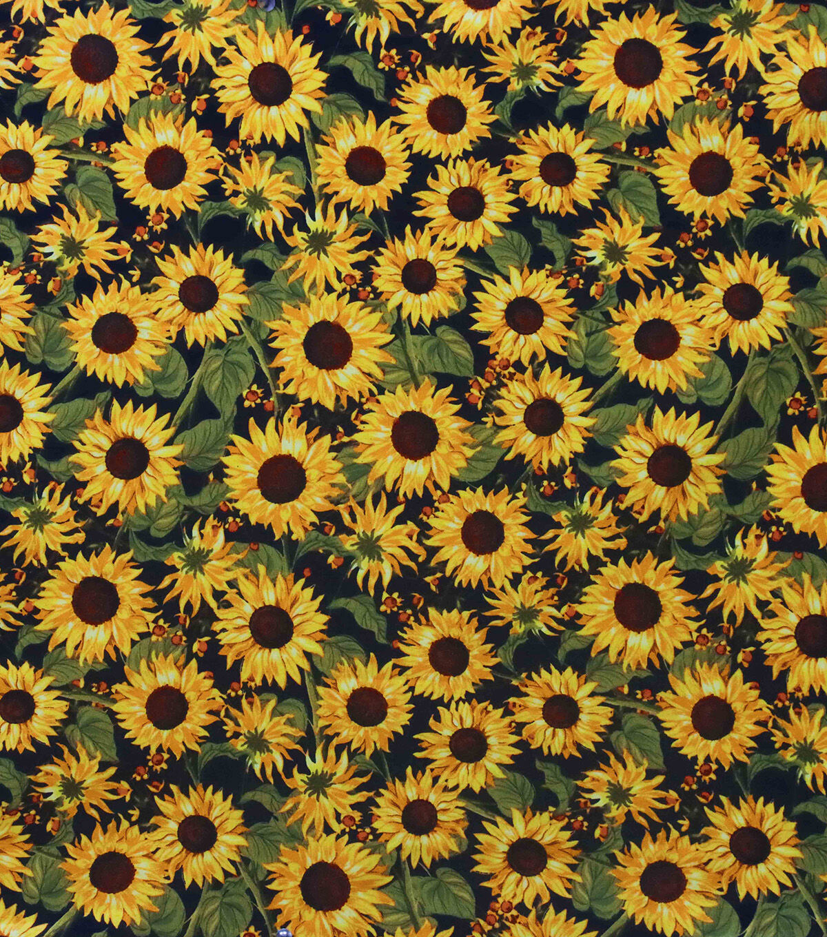 Sunflowers in Bloom Quilt Cotton Fabric by Keepsake Calico