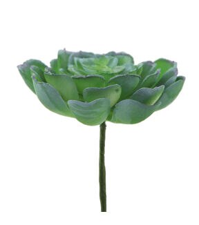 Flora Bunda 6ct Artificial Echeveria Powder Succulent Plants