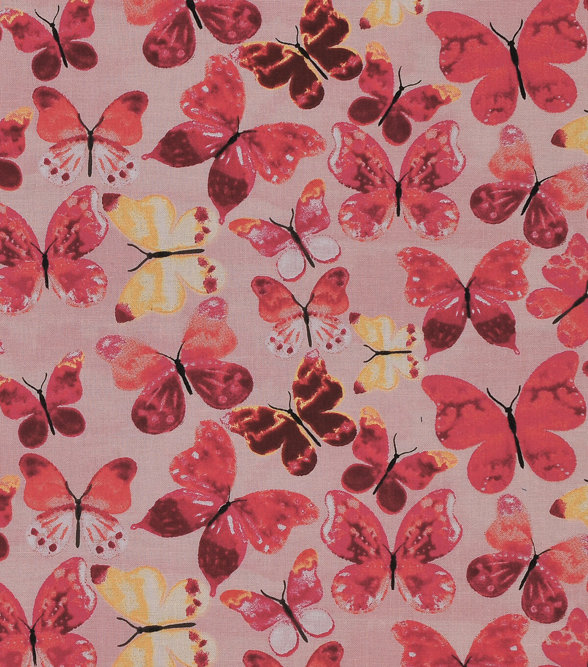 Butterflies Cotton Fabric by Keepsake Calico