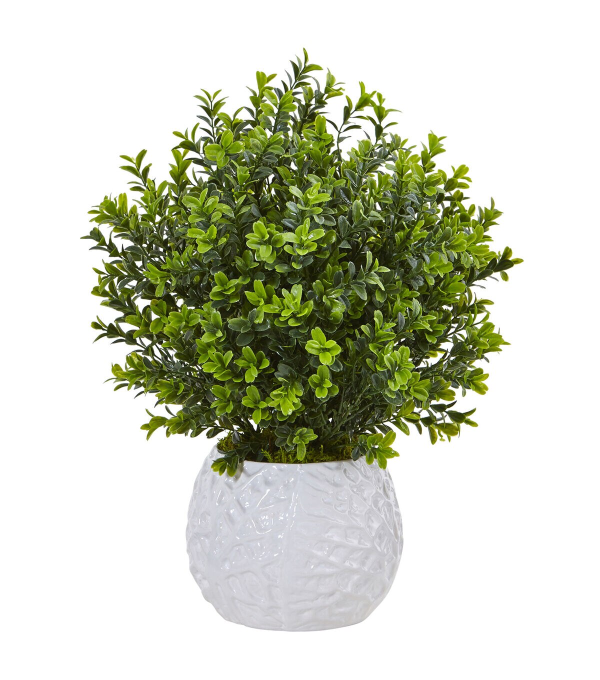 Nearly Natural 17 Boxwood Evergreen Artificial Plant in White Vase